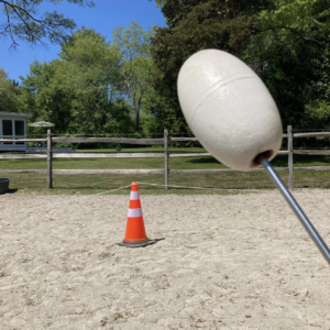 Clicker training target